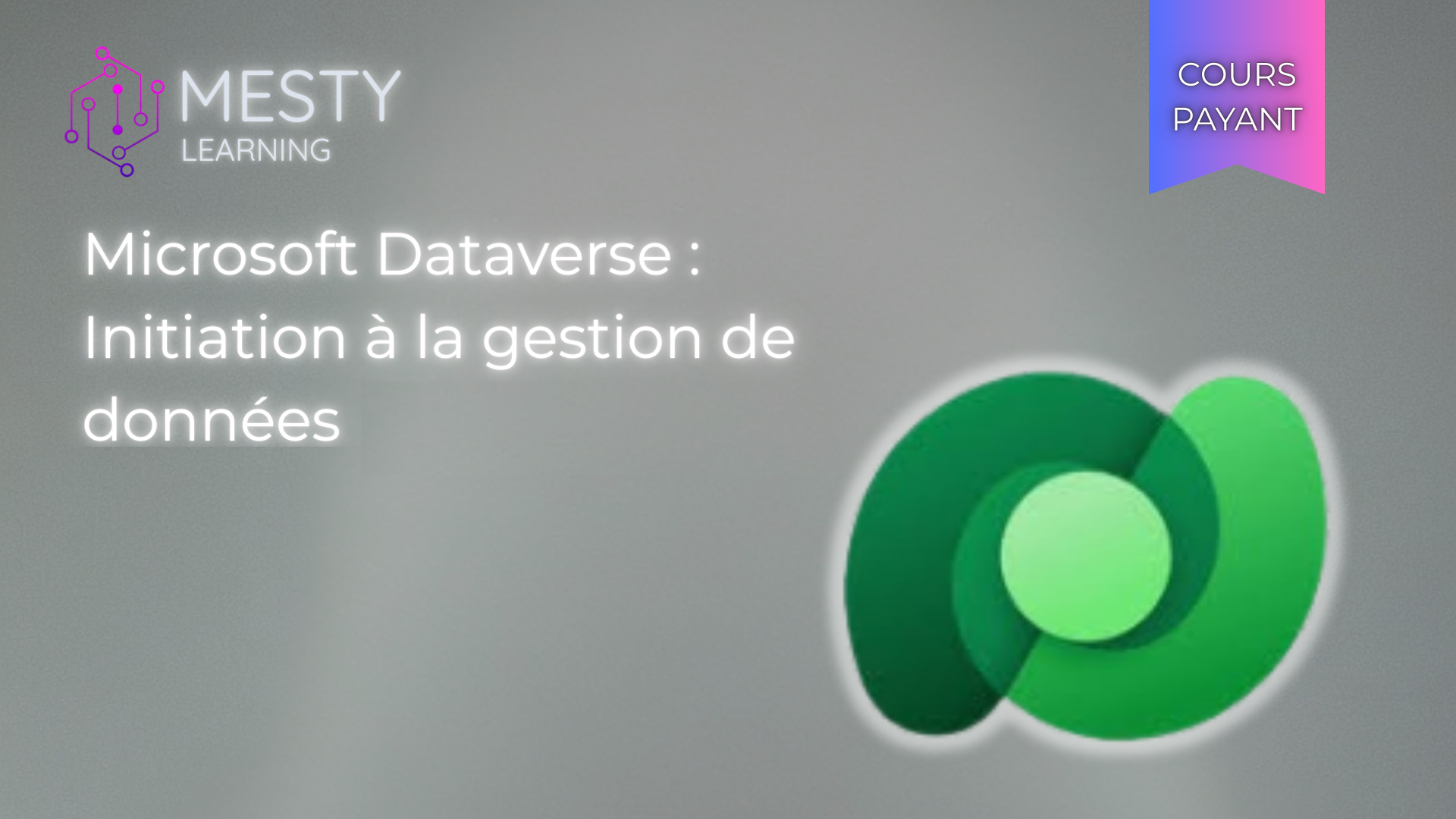 Microsoft Dataverse